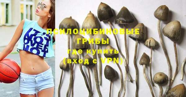 спиды Белоозёрский