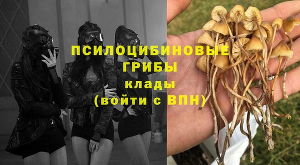 спиды Белоозёрский