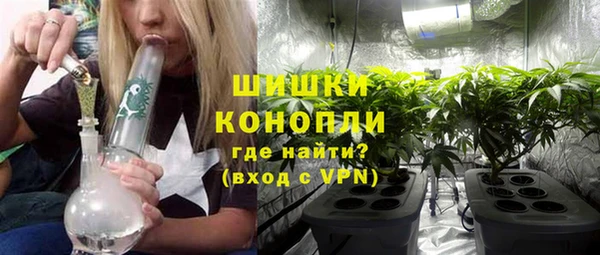 спайс Богданович