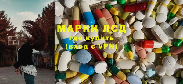 спайс Богданович