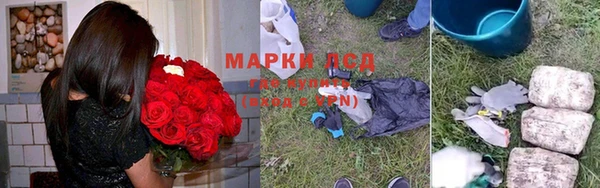 спайс Богданович