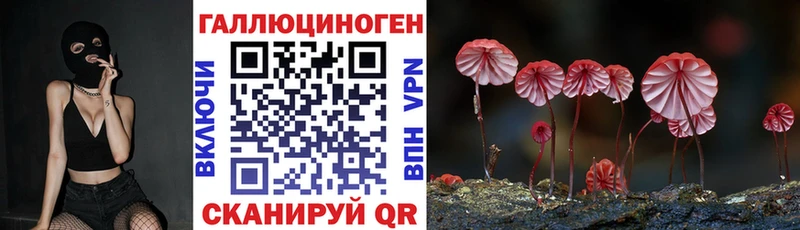 цена   Бобров  Галлюциногенные грибы прущие грибы 
